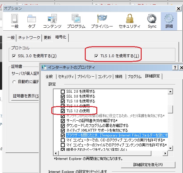 Firefox 6.0 と IE8 のオプション設定画面@20110921。