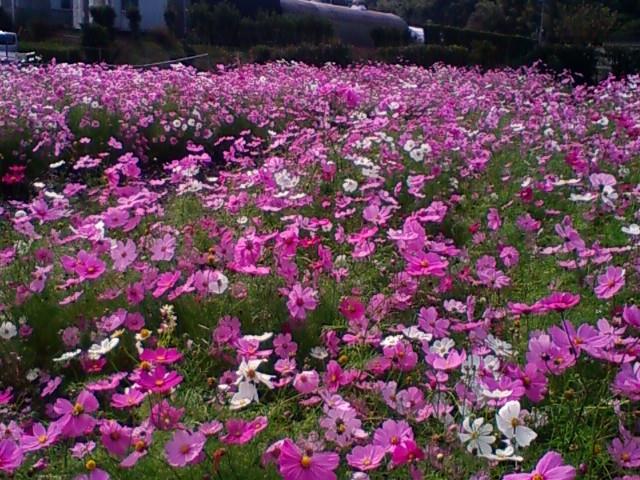 f:id:TsuSUZUKI:20111022220714j:image