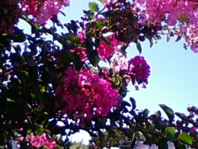 f:id:TsuSUZUKI:20120824132851j:image