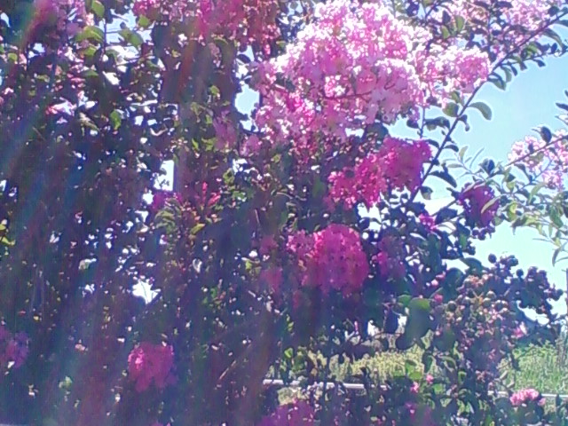f:id:TsuSUZUKI:20120824132852j:image