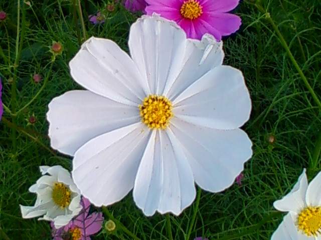 f:id:TsuSUZUKI:20121018190219j:image