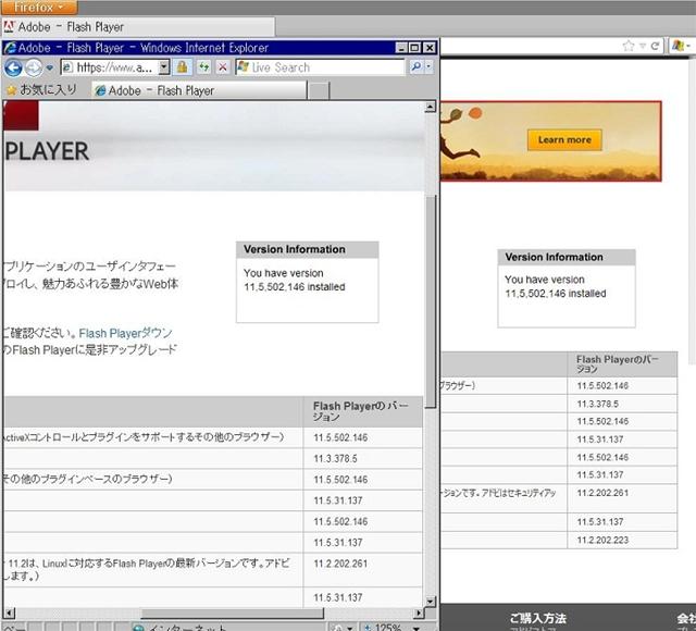 Adobe Flash Player 11.5.502.146 のテスト。