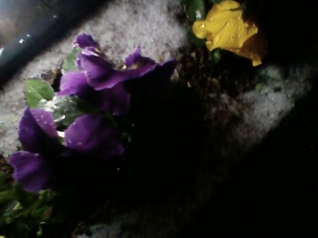 f:id:TsuSUZUKI:20131227153208j:image