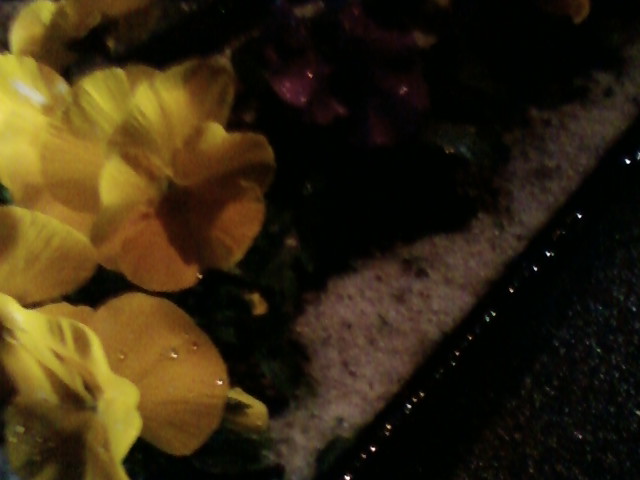 f:id:TsuSUZUKI:20131227153209j:image