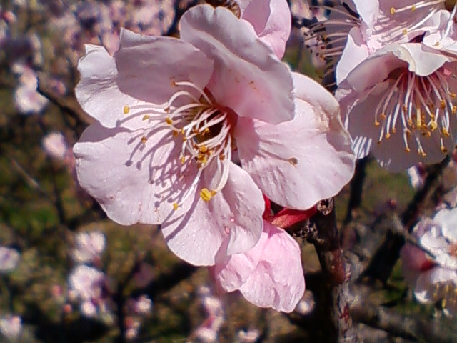 f:id:TsuSUZUKI:20140314064700j:image