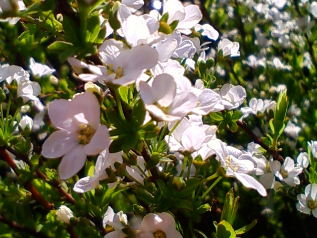 f:id:TsuSUZUKI:20140324015848j:image