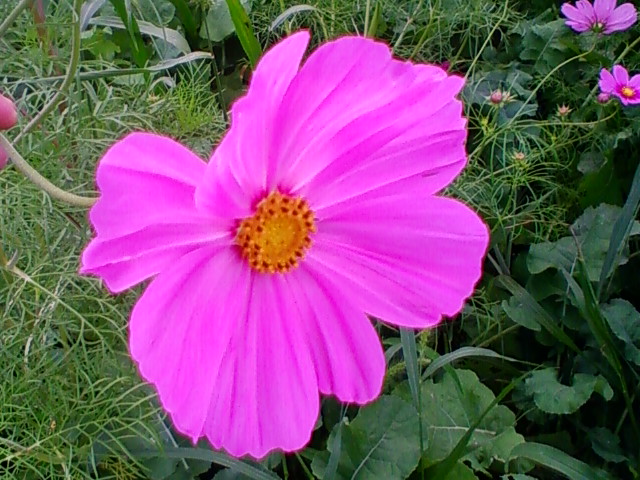 f:id:TsuSUZUKI:20140929042657j:image