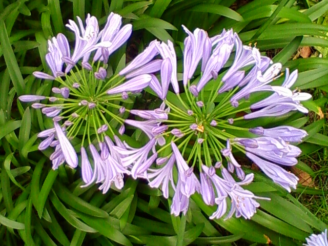 f:id:TsuSUZUKI:20170629003050j:image