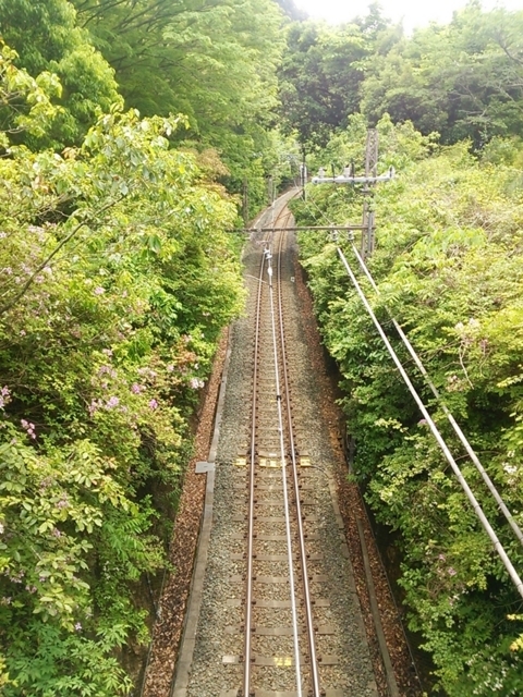 f:id:TsuSUZUKI:20180504002510j:image f:id:TsuSUZUKI:20180504002510j:image