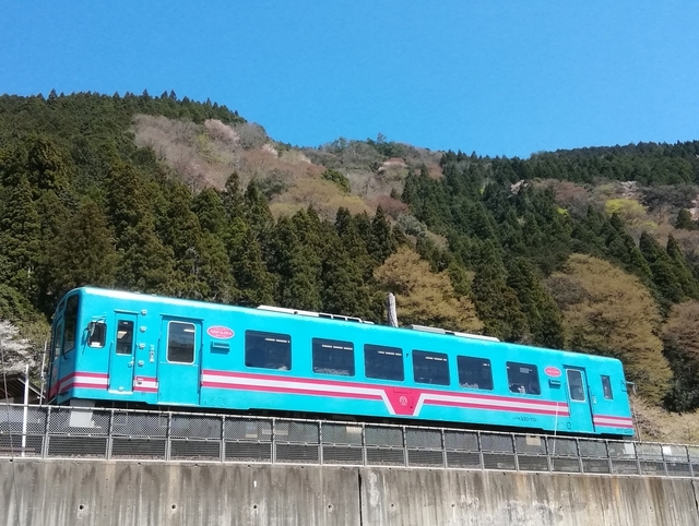 f:id:TsuSUZUKI:20190412085909j:plain 樽見鉄道観桜薄墨桜号はワンマンでディーゼルエンジン