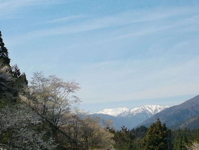 f:id:TsuSUZUKI:20190412085914j:plain 白山