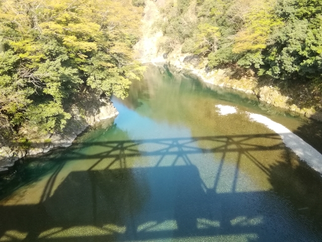 f:id:TsuSUZUKI:20190412085918j:plain 樽見鉄道陸橋から車両のシルエット