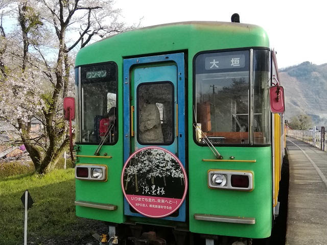 f:id:TsuSUZUKI:20190412085919j:plain 樽見鉄道観桜薄墨桜号(復路)