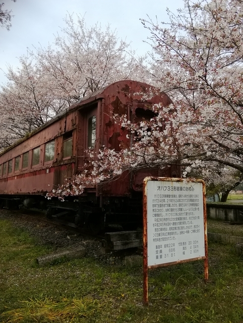 f:id:TsuSUZUKI:20190412085922j:plain 樽見鉄道谷汲口駅の国鉄オハフ33形客車(樽見鉄道オハフ500形客車)展示