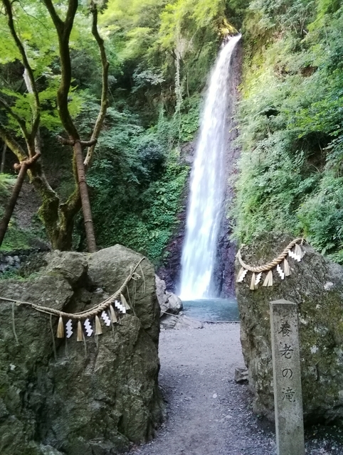 養老の滝