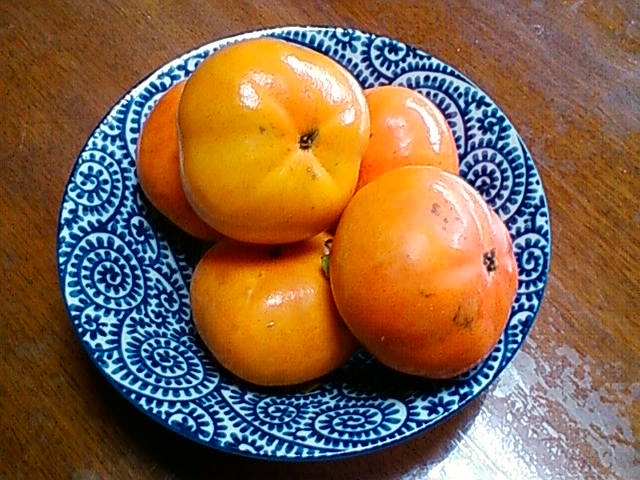 f:id:TsuSUZUKI:20191018005251j:image 柿 2019