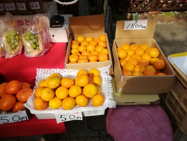 f:id:TsuSUZUKI:20191112054927j:image 三段壁 遊歩道沿道の屋台で紀州ミカン