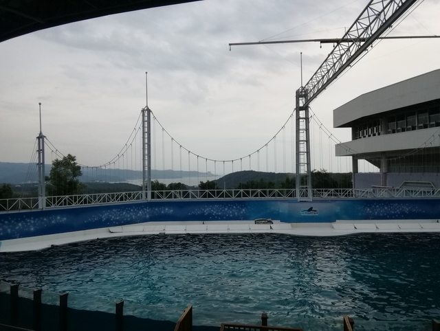 f:id:TsuSUZUKI:20191112055705j:image イルカショーは休憩中