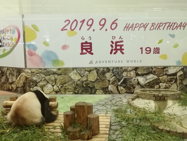 f:id:TsuSUZUKI:20191112055723j:image ブリーディングセンターで昼寝中の良浜
