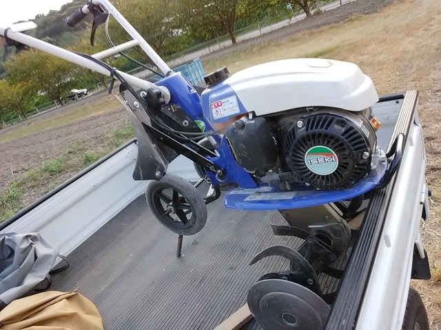 コスモス種まき 2020 