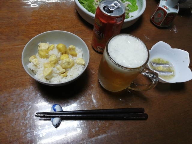 f:id:TsuSUZUKI:20200926030442j:image 続・栗の実 2020