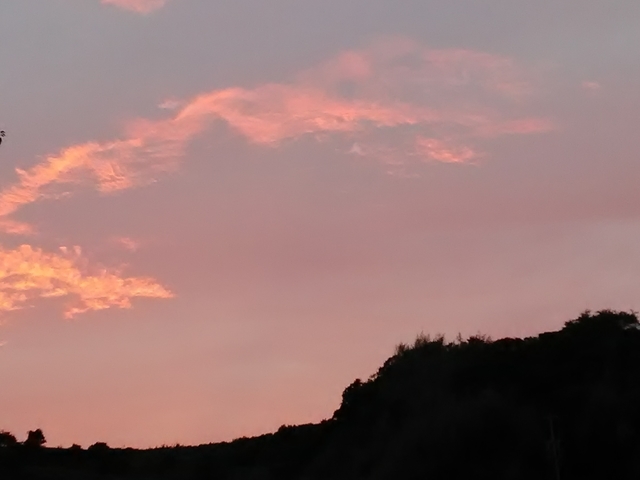 f:id:TsuSUZUKI:20200926030612j:image 夕暮れ 2020