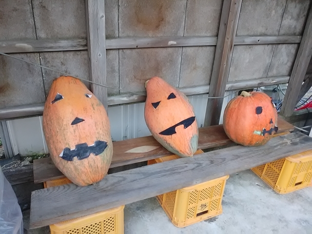 f:id:TsuSUZUKI:20200926031047j:image ハロウィーンカボチャ 2020