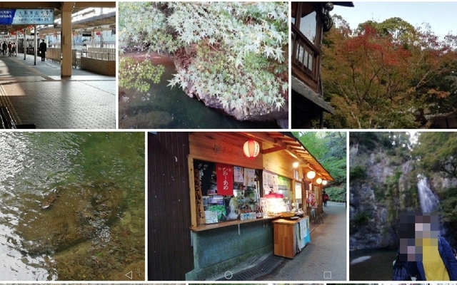 f:id:TsuSUZUKI:20201112151837j:image 箕面 2020