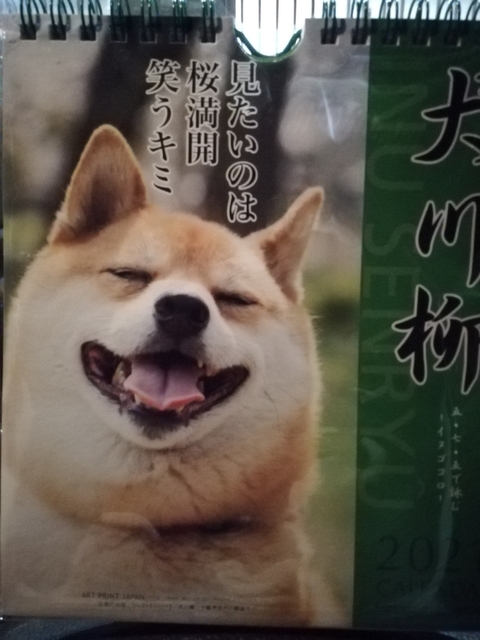 週めくりカレンダー 
