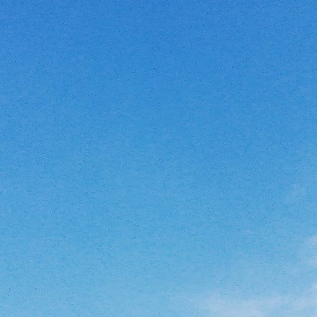 青空 2021 