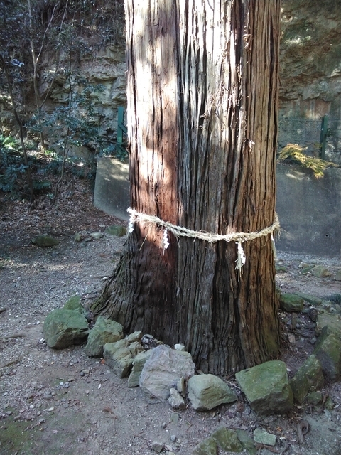 おおつごもり 2022 