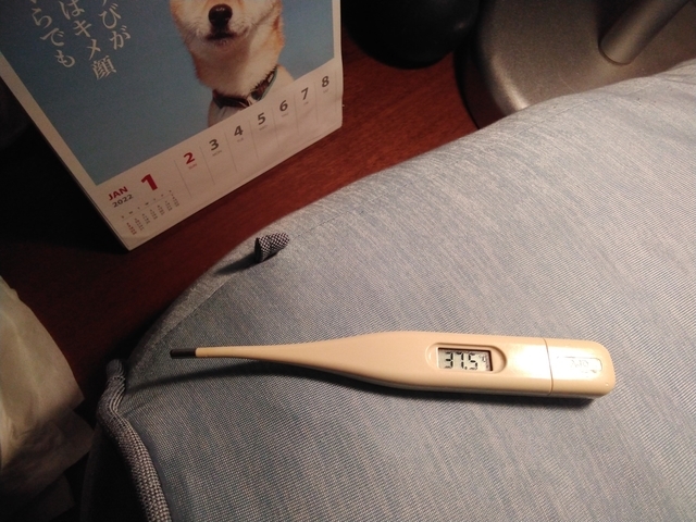 発熱 2023