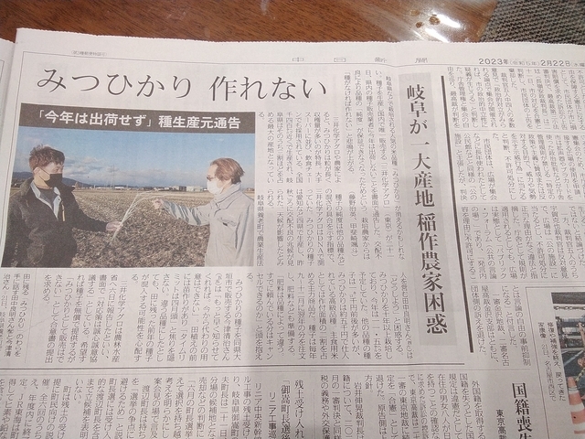 「みつひかり」種子出荷停止 2023