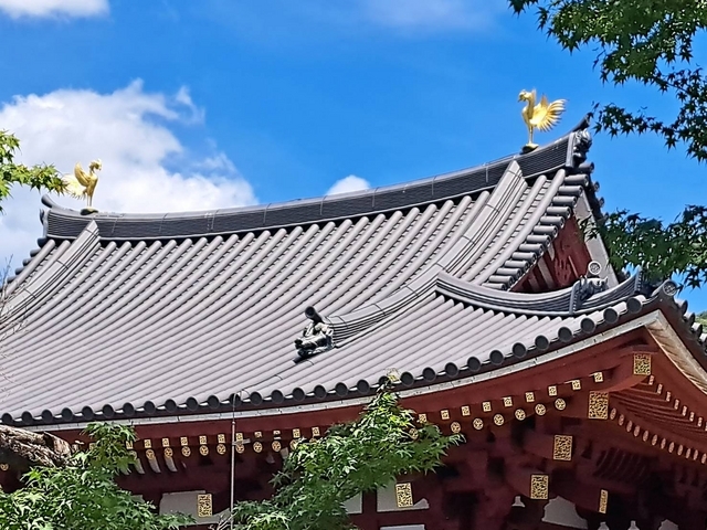 平等院 鳳凰堂の鳳凰 2023 
