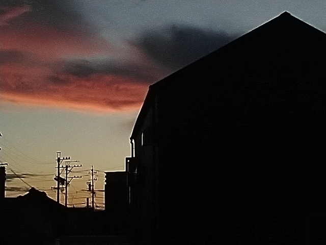 キャナルナイト 2023 