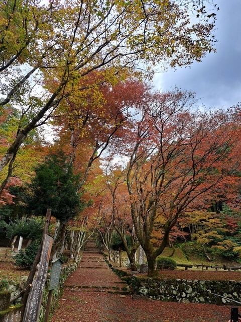 鶏足寺参道 2023