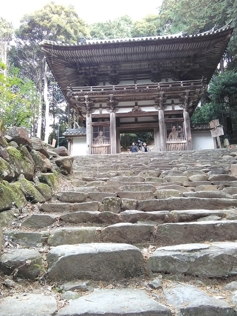 二王門遠景 2023 