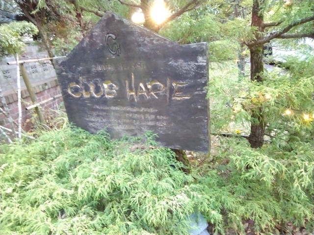 CLUB HARIE ( クラブハリエ ) 2023 