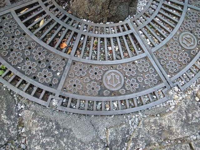 八幡堀沿いの植木 2023 