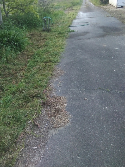 草刈り 2024 草刈りその２ 