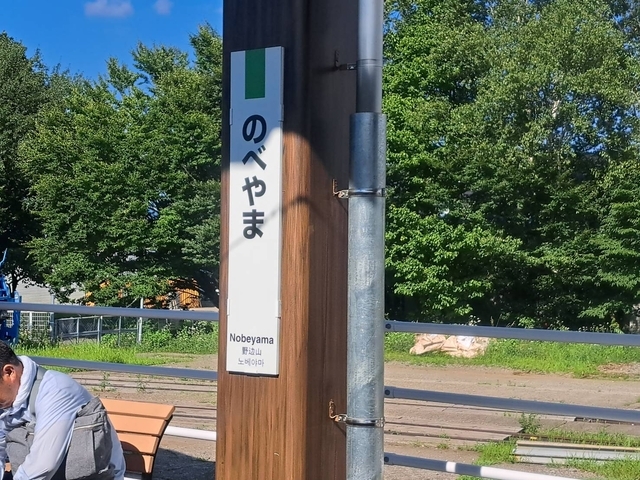 小海線 2025 野辺山駅 駅票 