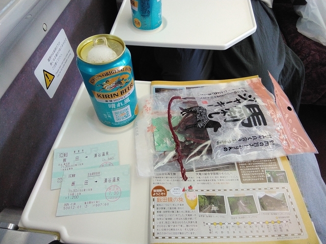 飯田線 2025 飯田線 呑み鉄 