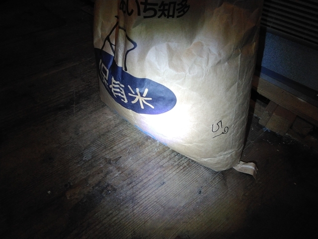 続・稲刈り 2025