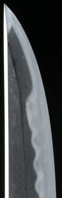 脇差 源兵衛尉祐定 Sukesada Wakizashi - 鐔・日本刀 鑑賞記