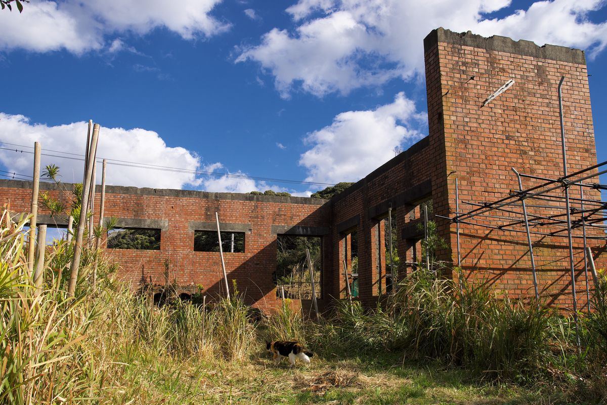 f:id:Tsubasa003:20211223221819j:plain