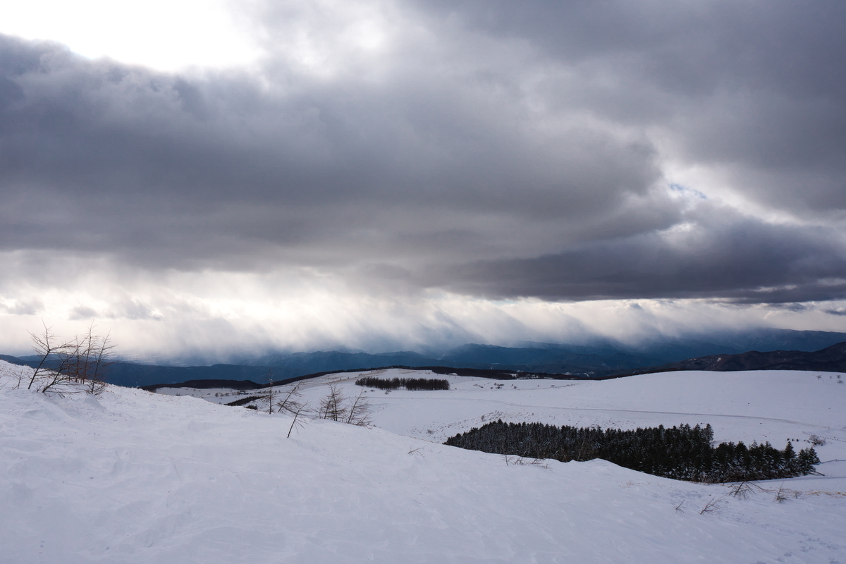 f:id:Tsubasa003:20220123171217j:plain