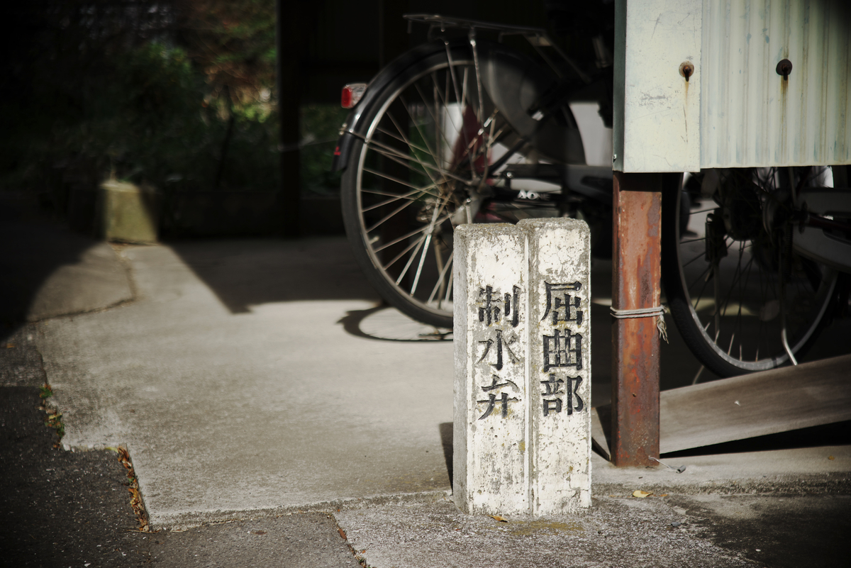 f:id:Tsubasa003:20220201154226j:plain