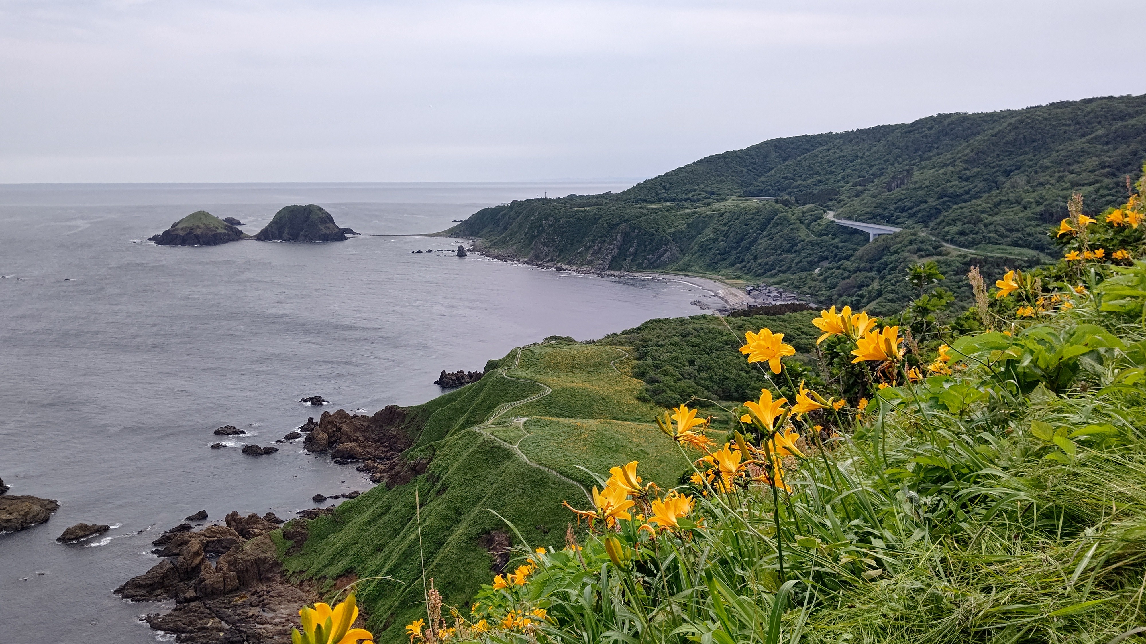 f:id:Tsubasaba:20210703225221j:image