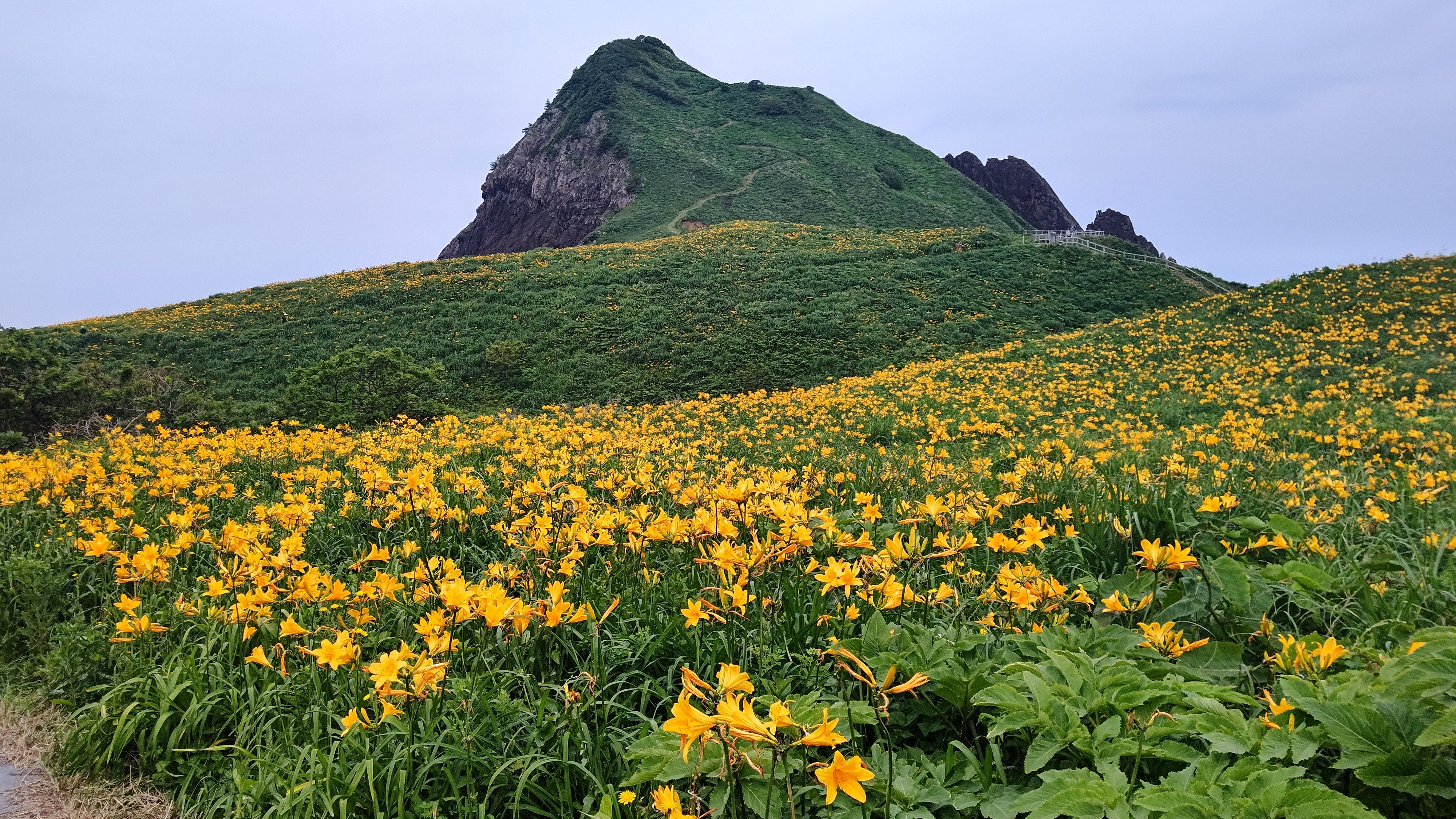 f:id:Tsubasaba:20210703225413j:image