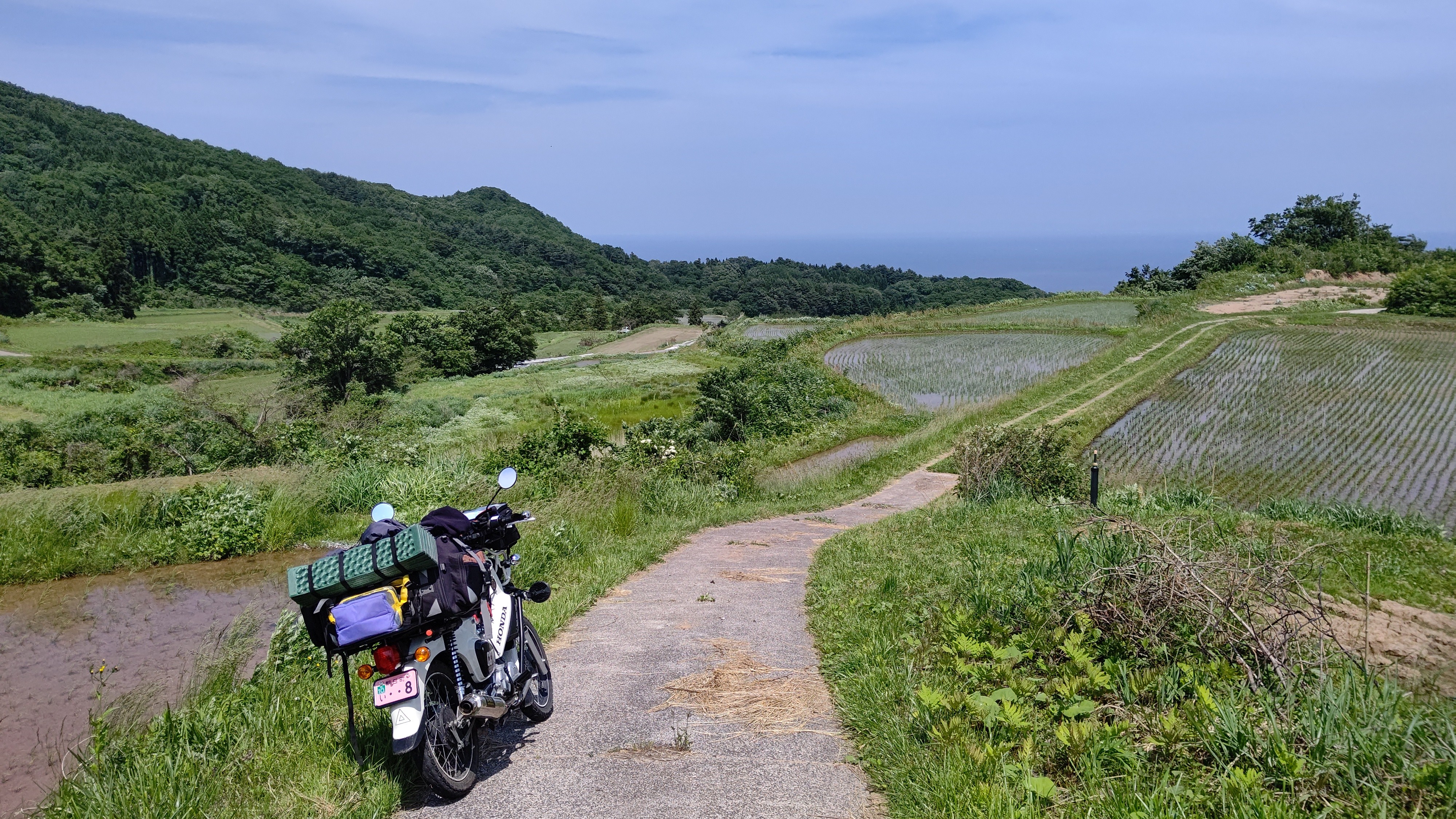 f:id:Tsubasaba:20210703230138j:image